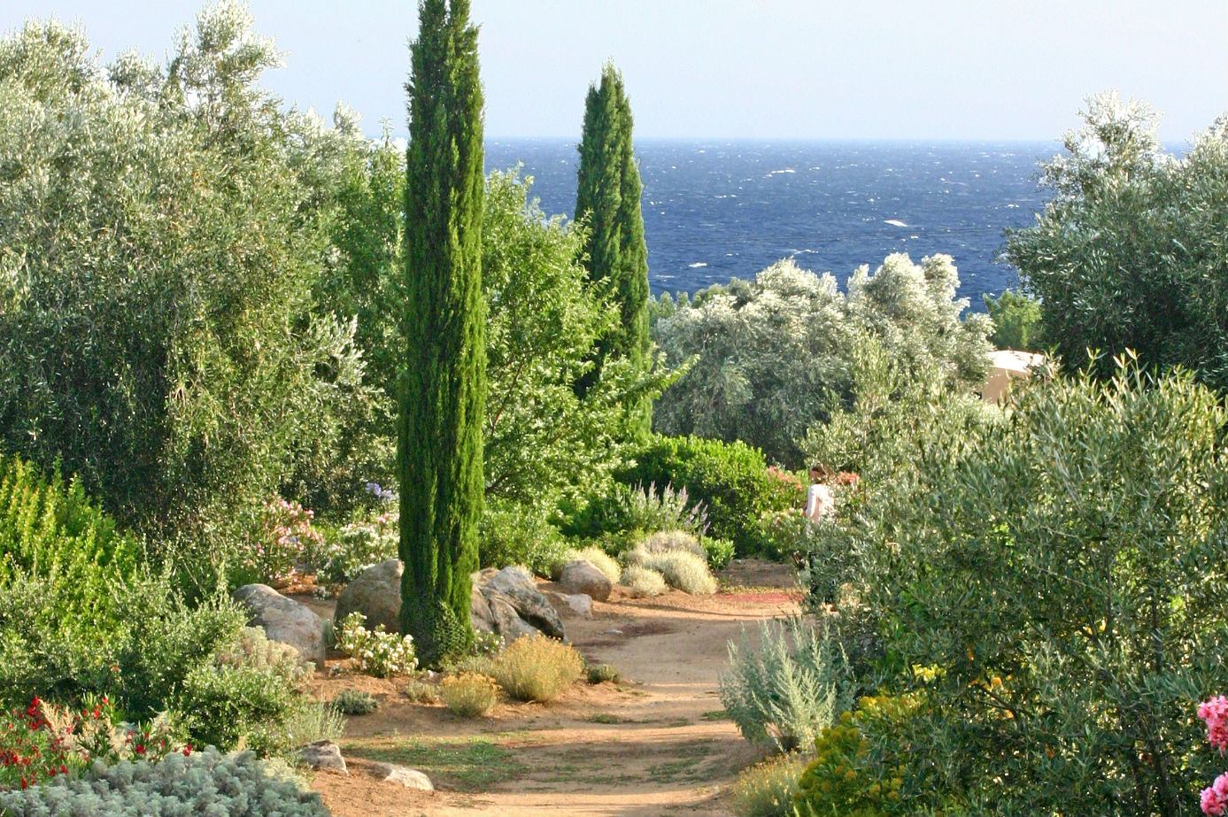 Parc De Saleccia - Parcu Di Saleccia