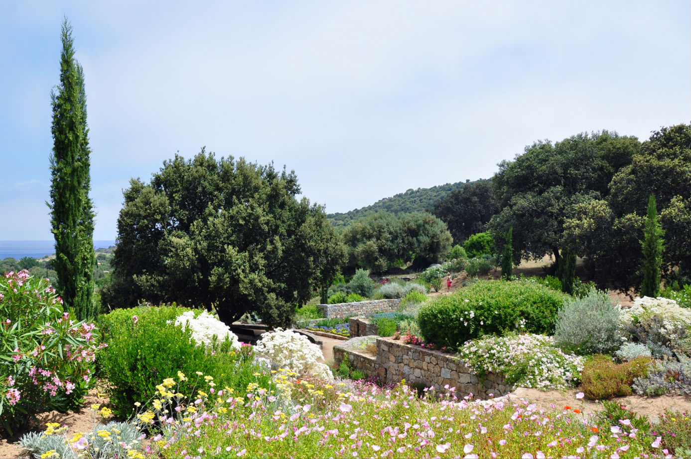 Parc De Saleccia - Parcu Di Saleccia