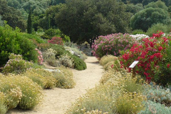 1montee-jardin-des-4-couleurs-photo-m.c.demoustier