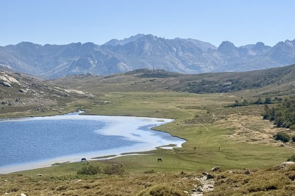 lac-5.jpeg