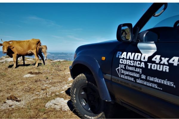 rando-4x4-corse-photo-principale-1.jpeg