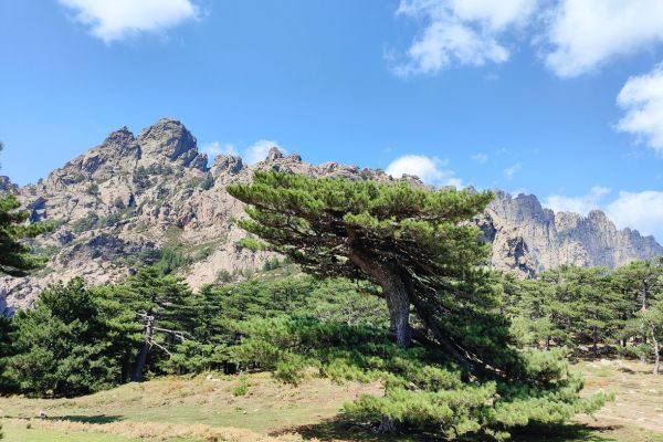 strada-in-liberta-montagne